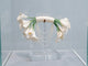 Sonni bridal bouquet